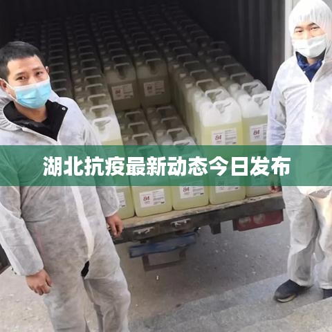 湖北抗疫最新动态今日发布