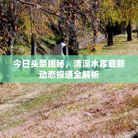 今日头条揭秘，清溪水库最新动态报道全解析