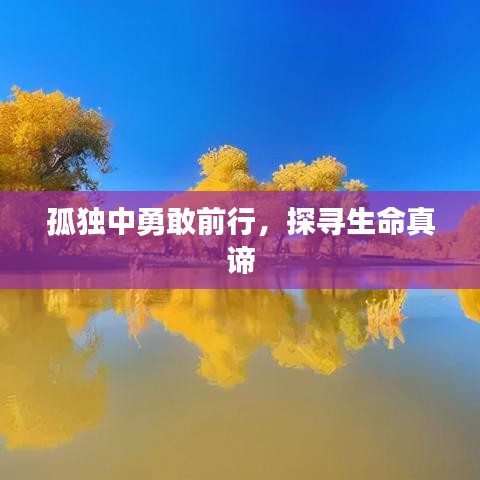 孤独中勇敢前行，探寻生命真谛