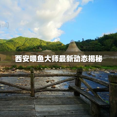 西安喂鱼大师最新动态揭秘