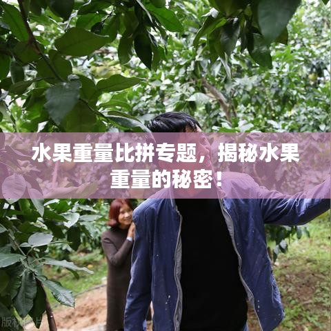 水果重量比拼专题，揭秘水果重量的秘密！