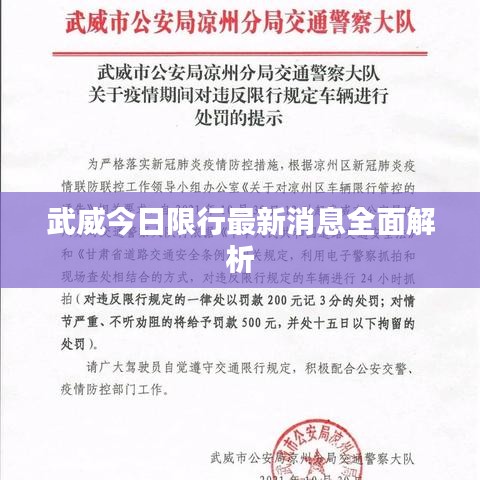 武威今日限行最新消息全面解析
