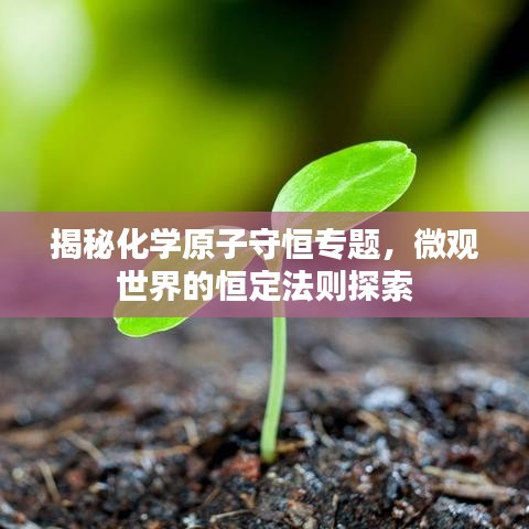 揭秘化学原子守恒专题，微观世界的恒定法则探索