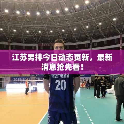 江苏男排今日动态更新,最新消息抢先看!
