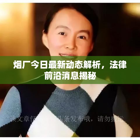 烟厂今日最新动态解析，法律前沿消息揭秘
