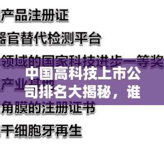 中国高科技上市公司排名大揭秘,谁是领头羊?