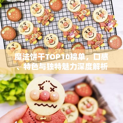 魔法饼干TOP10榜单，口感、特色与独特魅力深度解析