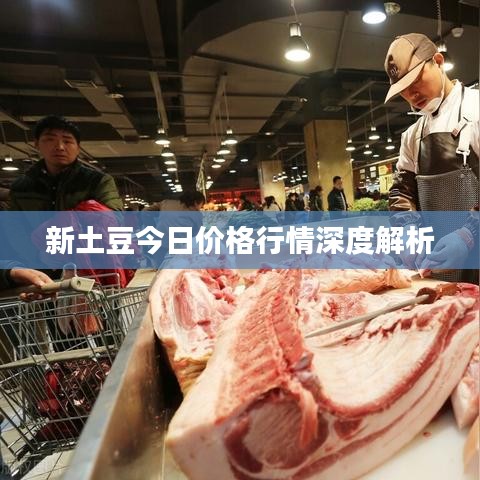 qqtim官方下载与会长 卖激活码,实地验证方案_LE版_v3.298