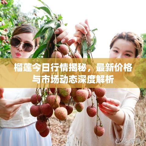 榴莲今日行情揭秘，最新价格与市场动态深度解析