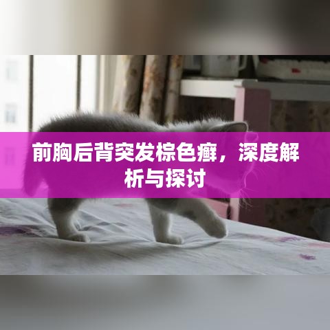 前胸后背突发棕色癣,深度解析与探讨