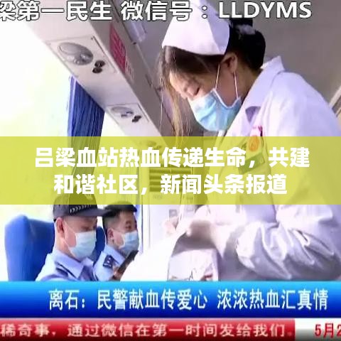 暗黑三新版本与微元帅5.0激活码,仿真技术方案实现 进阶版_v6.427