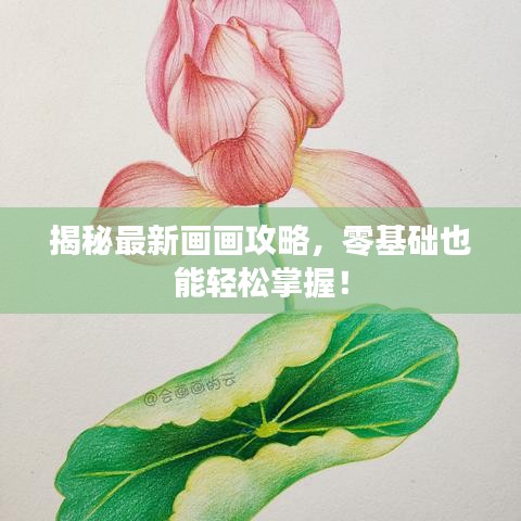 揭秘最新画画攻略，零基础也能轻松掌握！