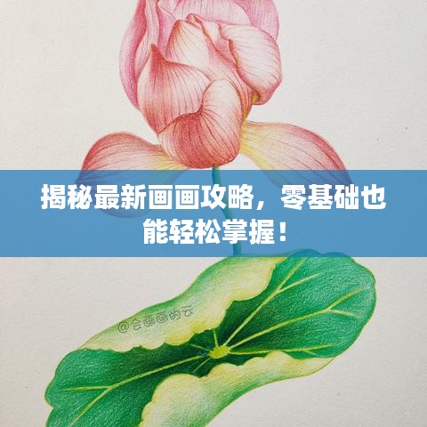 揭秘最新画画攻略,零基础也能轻松掌握!