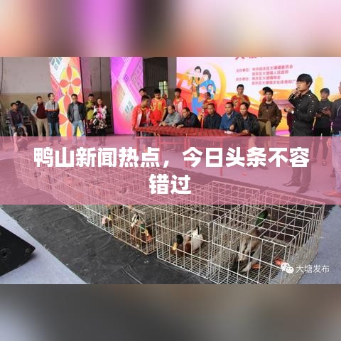 鸭山新闻热点，今日头条不容错过