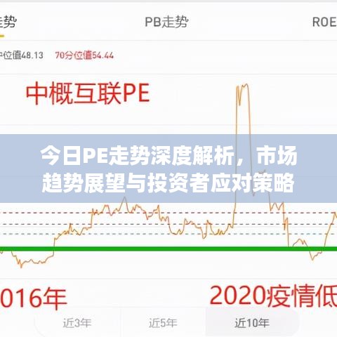 今日PE走势深度解析，市场趋势展望与投资者应对策略