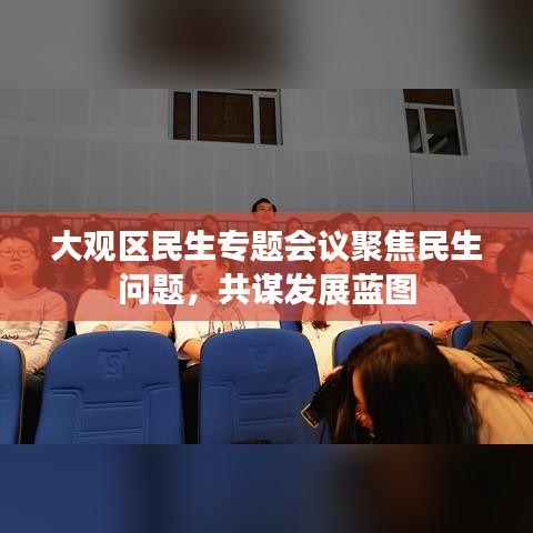 大观区民生专题会议聚焦民生问题，共谋发展蓝图