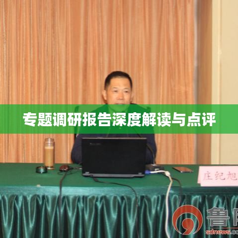专题调研报告深度解读与点评