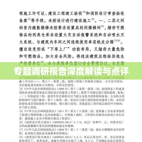 专题调研报告深度解读与点评