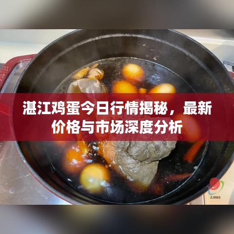 湛江鸡蛋今日行情揭秘，最新价格与市场深度分析