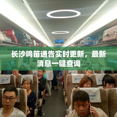 长沙鸣笛通告实时更新,最新消息一键查询