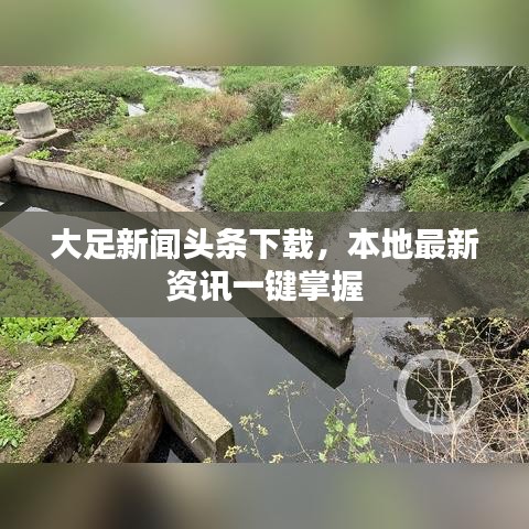 大足新闻头条下载,本地最新资讯一键掌握