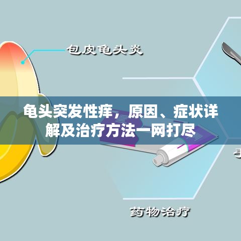 龟头突发性痒，原因、症状详解及治疗方法一网打尽