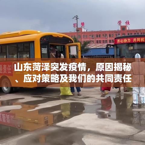 山东菏泽突发疫情，原因揭秘、应对策略及我们的共同责任