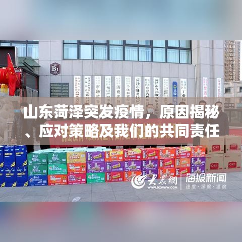 山东菏泽突发疫情,原因揭秘、应对策略及我们的共同责任