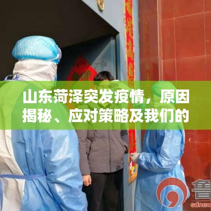山东菏泽突发疫情,原因揭秘、应对策略及我们的共同责任