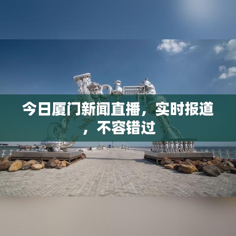 今日厦门新闻直播,实时报道,不容错过