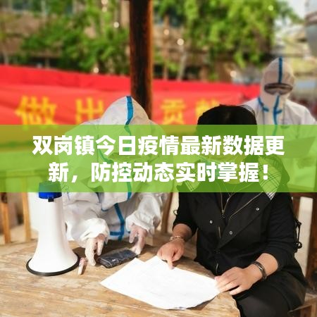 双岗镇今日疫情最新数据更新，防控动态实时掌握！