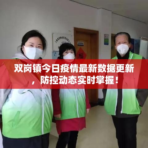 双岗镇今日疫情最新数据更新,防控动态实时掌握!