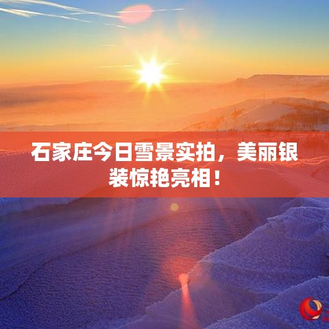石家庄今日雪景实拍，美丽银装惊艳亮相！