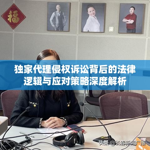 独家代理侵权诉讼背后的法律逻辑与应对策略深度解析
