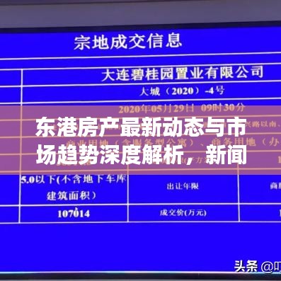 东港房产最新动态与市场趋势深度解析，新闻头条网站！