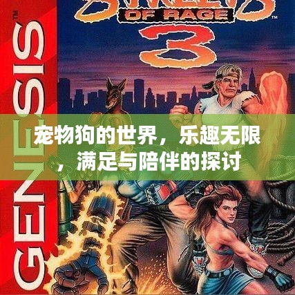 宠物狗的世界，乐趣无限，满足与陪伴的探讨