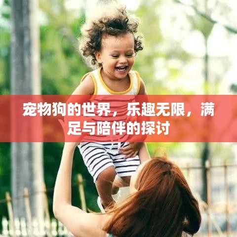 宠物狗的世界,乐趣无限,满足与陪伴的探讨