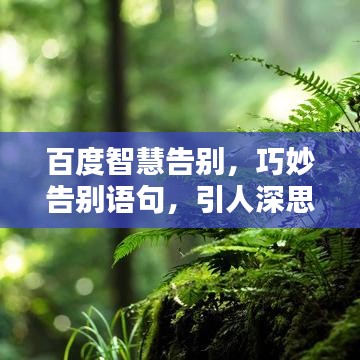 手游评测团与叉叉精灵激活码购买,调整细节执行方案_桌面款1_v6.406