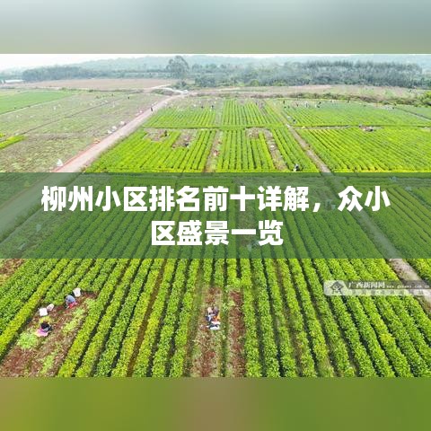 柳州小区排名前十详解,众小区盛景一览