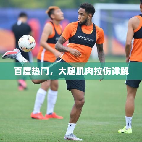 百度热门，大腿肌肉拉伤详解
