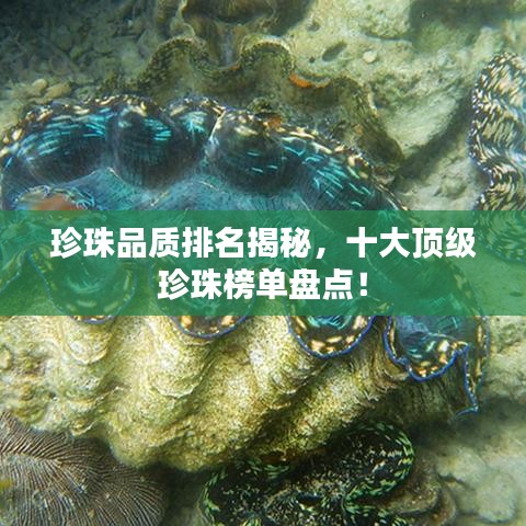 珍珠品质排名揭秘,十大顶级珍珠榜单盘点!
