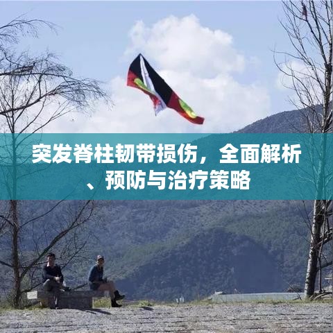 突发脊柱韧带损伤,全面解析、预防与治疗策略