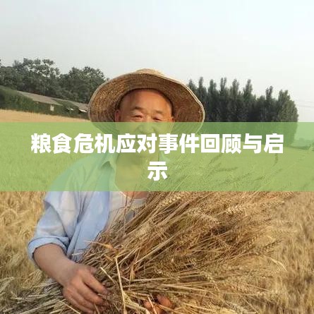 粮食危机应对事件回顾与启示
