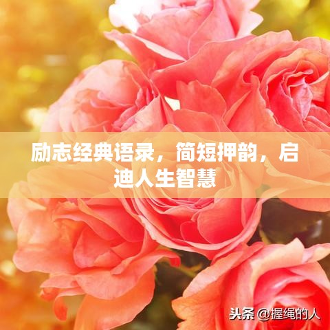 励志经典语录，简短押韵，启迪人生智慧