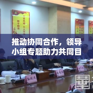 推动协同合作,领导小组专题助力共同目标实现