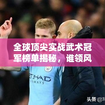 全球顶尖实战武术冠军榜单揭秘，谁领风骚？