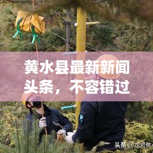 劳燕分飞 第6页