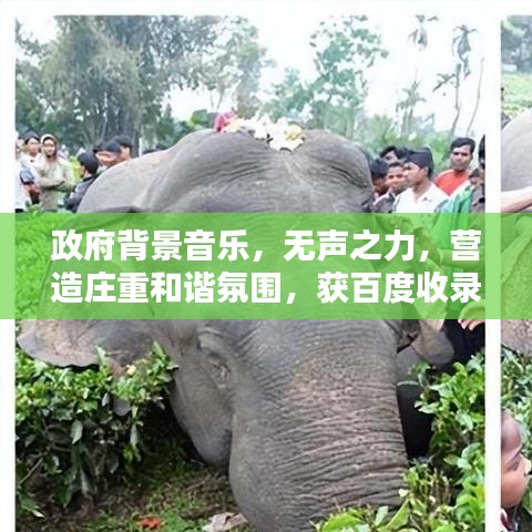 政府背景音乐，无声之力，营造庄重和谐氛围，获百度收录标准认证