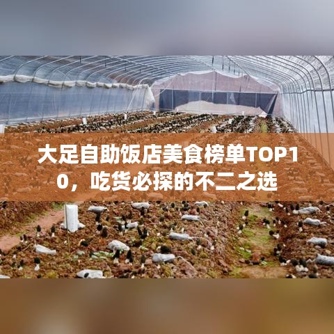 大足自助饭店美食榜单TOP10,吃货必探的不二之选