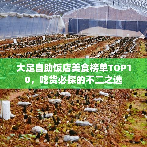 大足自助饭店美食榜单TOP10,吃货必探的不二之选